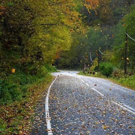 Гостевой дом Mateo Transalpina